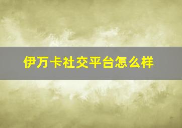 伊万卡社交平台怎么样