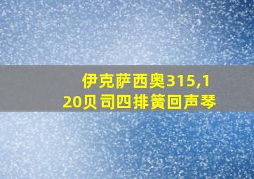 伊克萨西奥315,120贝司四排簧回声琴