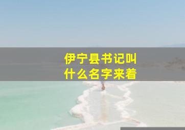 伊宁县书记叫什么名字来着