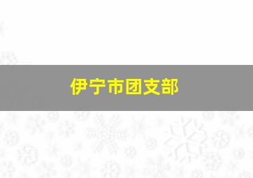 伊宁市团支部