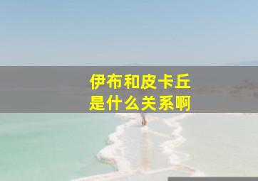 伊布和皮卡丘是什么关系啊