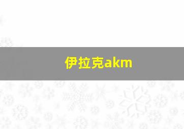 伊拉克akm