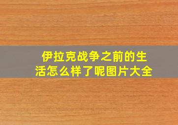 伊拉克战争之前的生活怎么样了呢图片大全