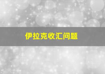 伊拉克收汇问题