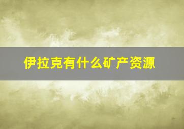 伊拉克有什么矿产资源