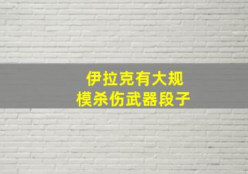 伊拉克有大规模杀伤武器段子