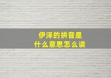 伊泽的拼音是什么意思怎么读