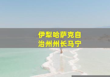 伊犁哈萨克自治州州长马宁