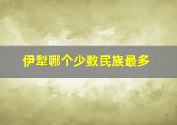 伊犁哪个少数民族最多