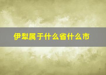 伊犁属于什么省什么市