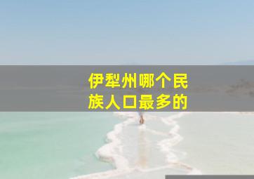 伊犁州哪个民族人口最多的