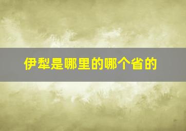 伊犁是哪里的哪个省的