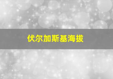 伏尔加斯基海拔