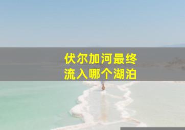 伏尔加河最终流入哪个湖泊