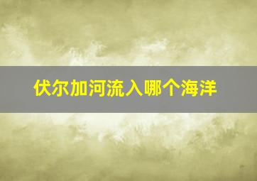 伏尔加河流入哪个海洋