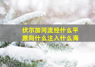 伏尔加河流经什么平原向什么注入什么海