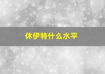 休伊特什么水平