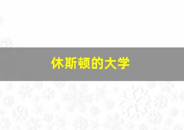 休斯顿的大学