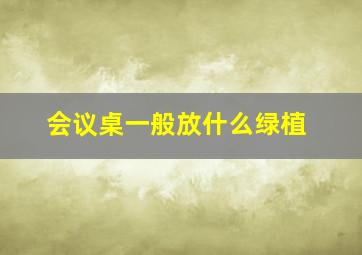 会议桌一般放什么绿植