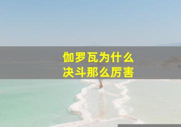 伽罗瓦为什么决斗那么厉害