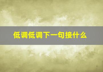 低调低调下一句接什么