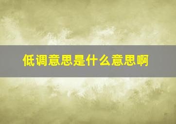 低调意思是什么意思啊