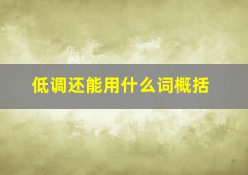 低调还能用什么词概括