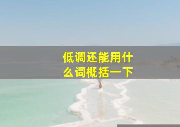 低调还能用什么词概括一下