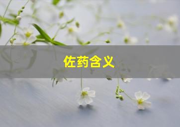 佐药含义