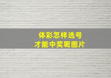 体彩怎样选号才能中奖呢图片