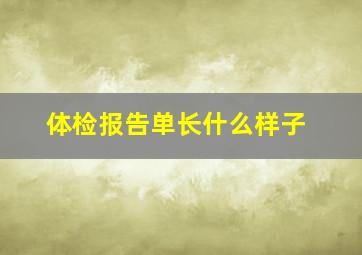 体检报告单长什么样子