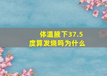 体温腋下37.5度算发烧吗为什么