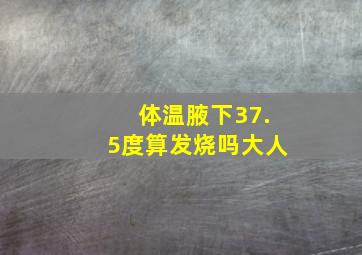 体温腋下37.5度算发烧吗大人