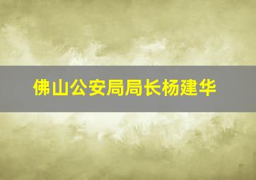 佛山公安局局长杨建华