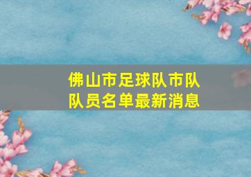 佛山市足球队市队队员名单最新消息