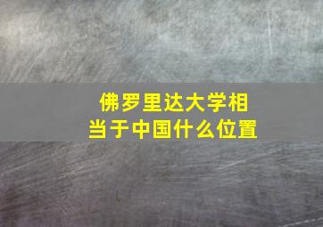 佛罗里达大学相当于中国什么位置