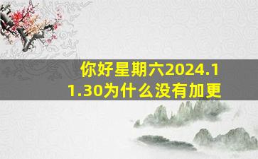 你好星期六2024.11.30为什么没有加更