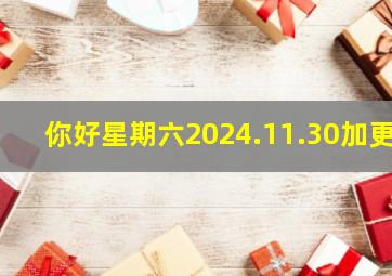 你好星期六2024.11.30加更