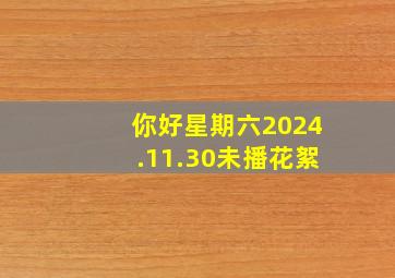 你好星期六2024.11.30未播花絮