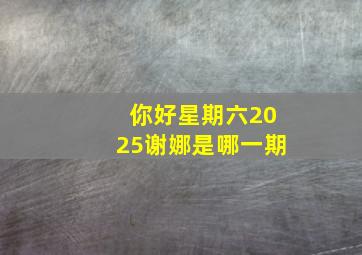 你好星期六2025谢娜是哪一期