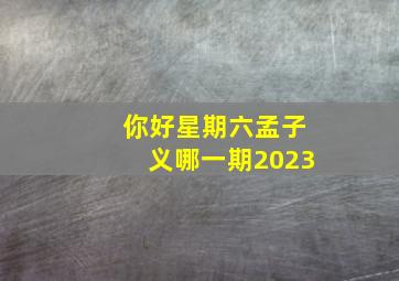 你好星期六孟子义哪一期2023