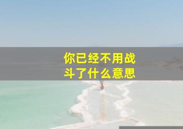 你已经不用战斗了什么意思