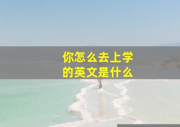 你怎么去上学的英文是什么