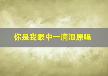 你是我眼中一滴泪原唱