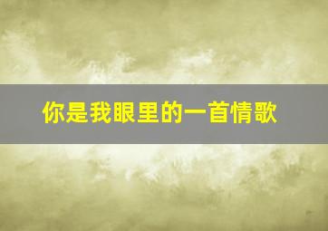 你是我眼里的一首情歌