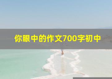 你眼中的作文700字初中