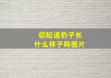 你知道豹子长什么样子吗图片