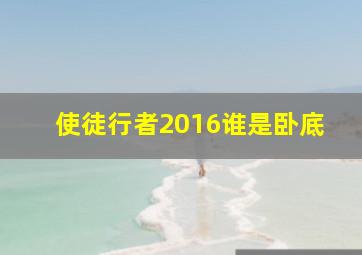 使徒行者2016谁是卧底