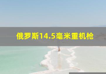 俄罗斯14.5毫米重机枪