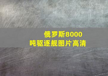 俄罗斯8000吨驱逐舰图片高清